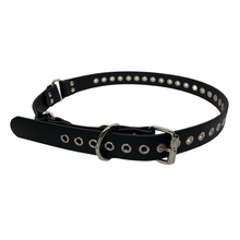 Load image into Gallery viewer, 1.25” Vegan Hobble Belt with Eyelets