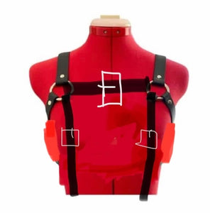Custom bulldog/ suspender harness